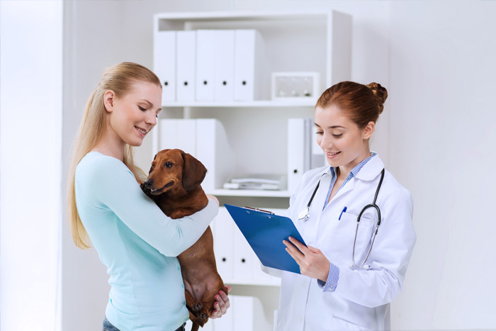 ЭЦП для оформления ветеринарных сертификатов (ГИС Меркурий) в Находке